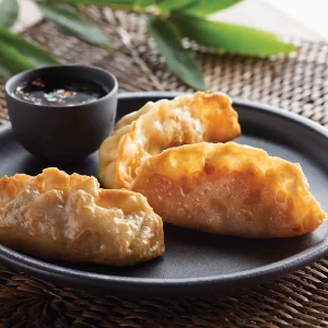 Chicken Potsticker