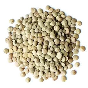 Dried Lentils