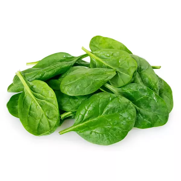 Spinach, Leaf