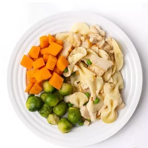 Turkey Tetrazzini Meal